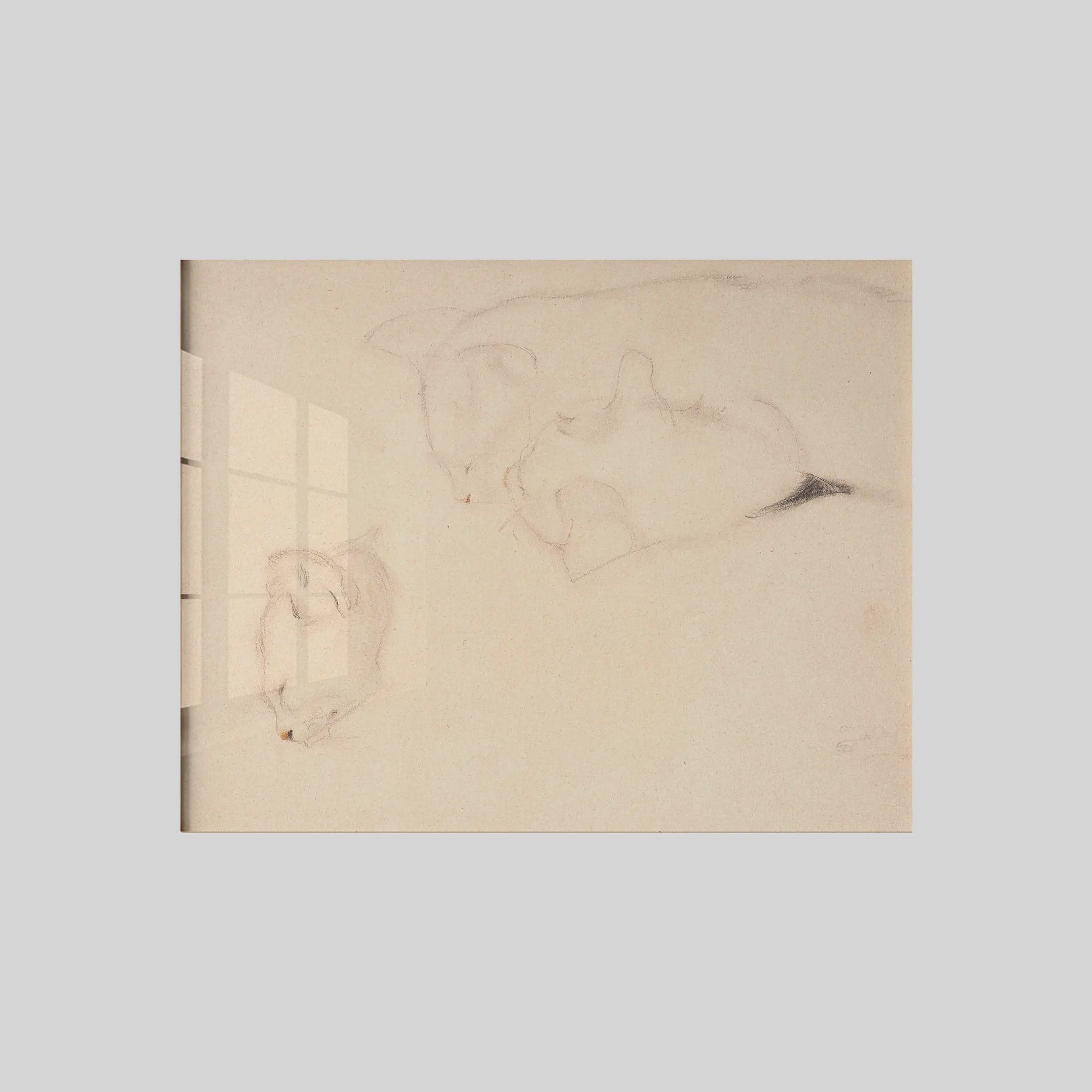 Cats. Studies (1909)