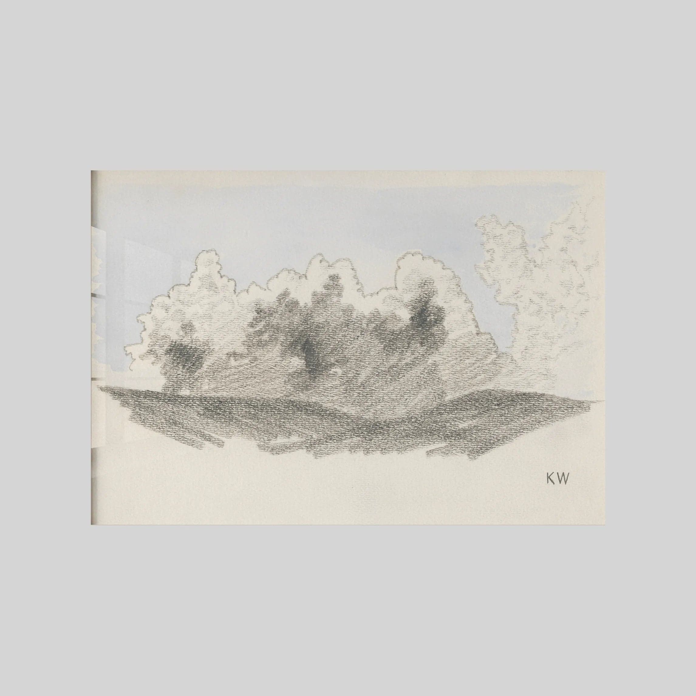 Naturstudie XXIII (1924)