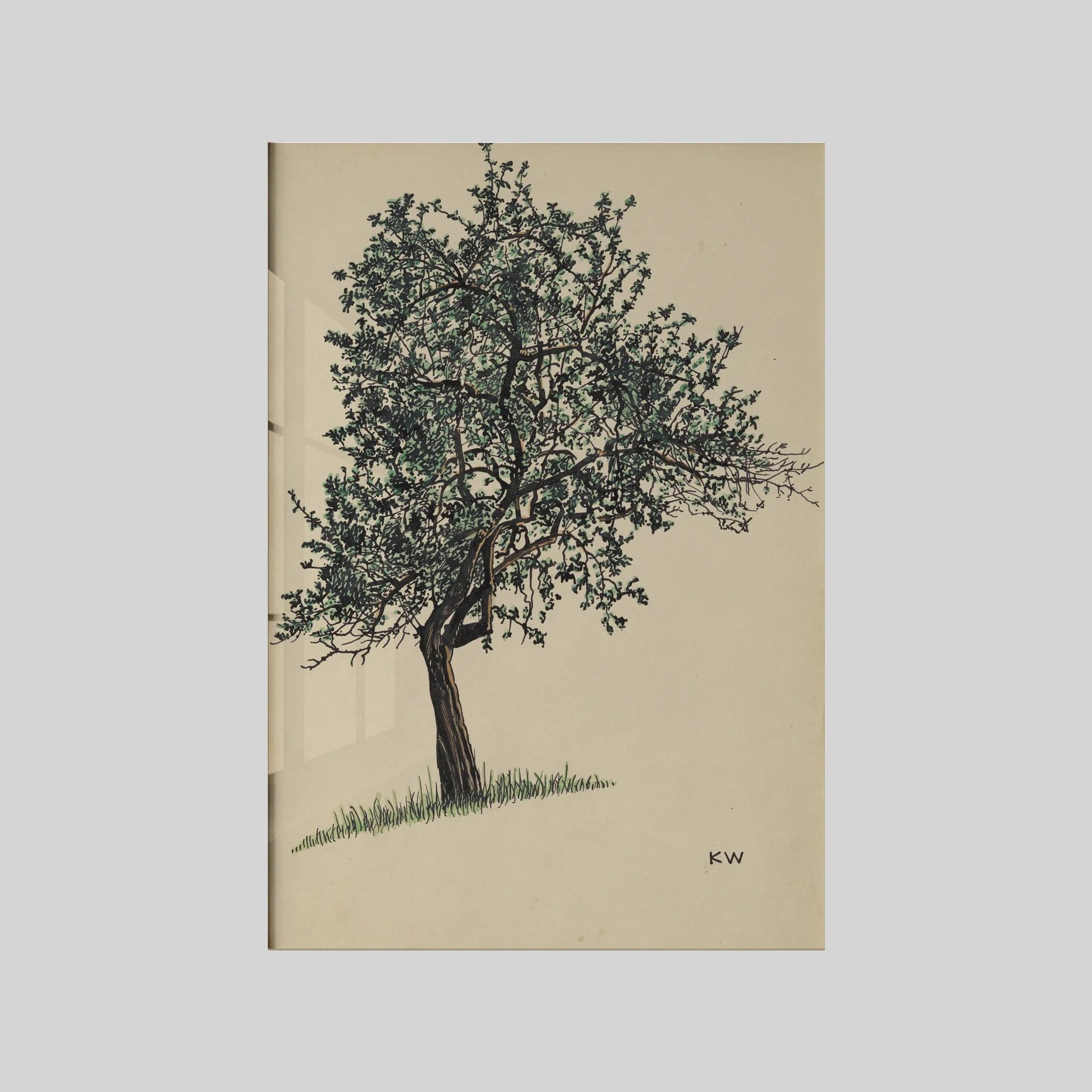 Ohne Titel (Laubbaum) (around 1924)