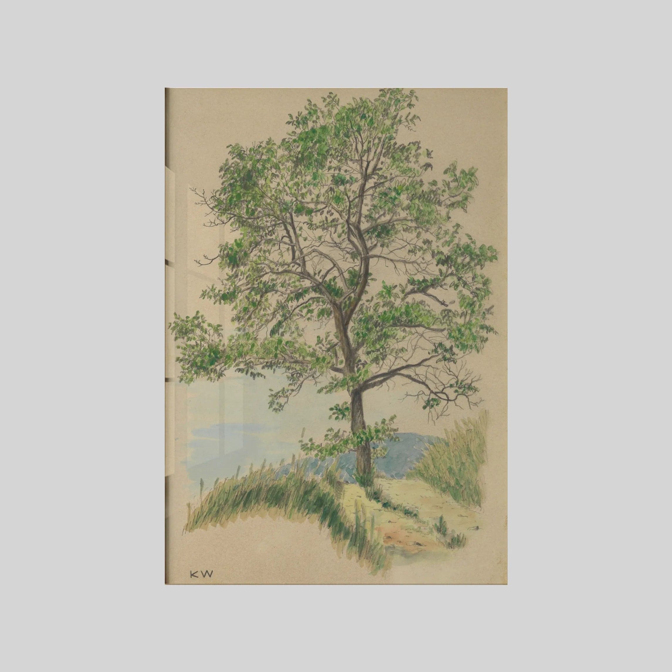 Ohne Titel (Laubbaum und Weg) (around 1924)