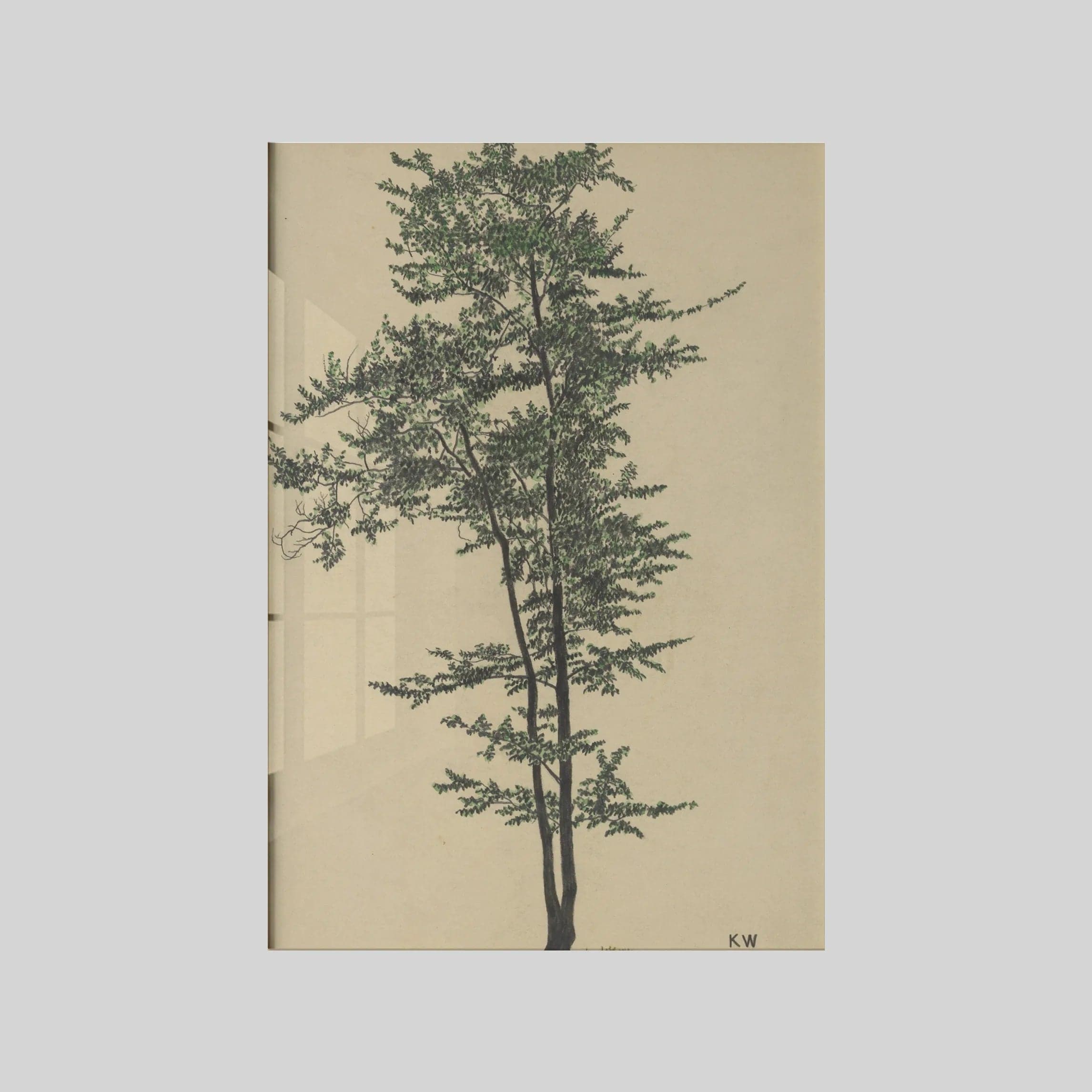Ohne Titel (Laubbaum)