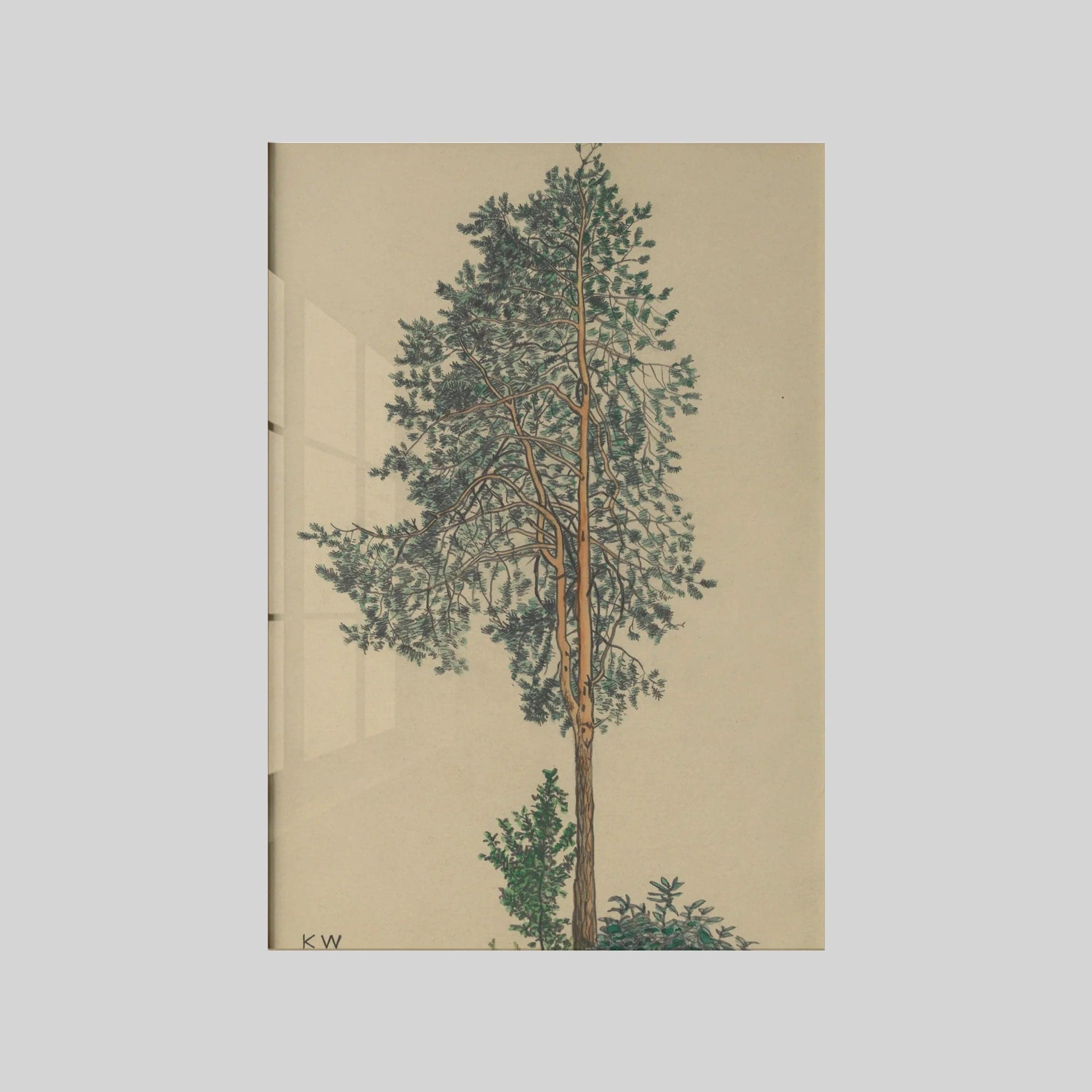 Ohne Titel (Nadelbaum) I (around 1924)