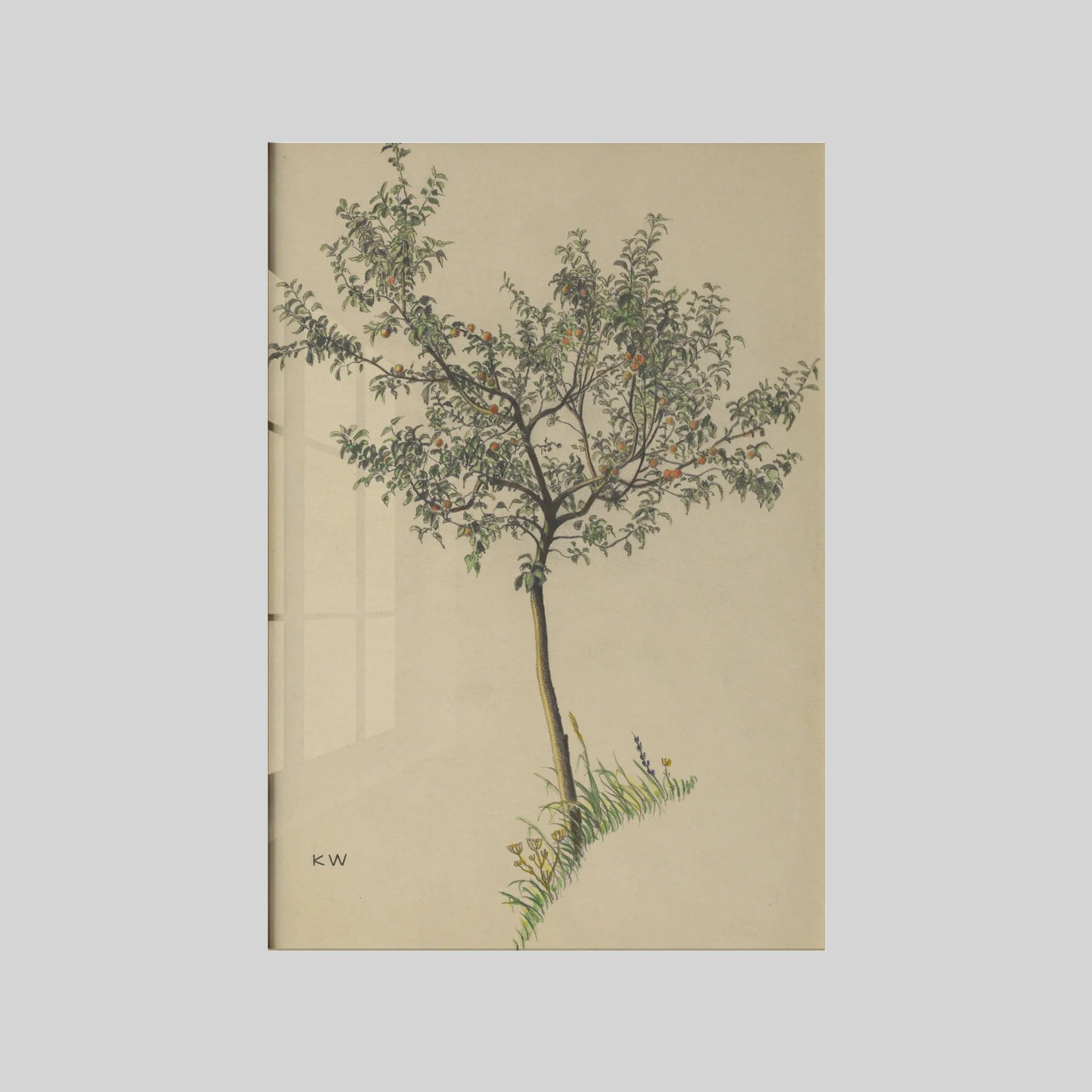 Ohne Titel (Obstbaum) (around 1924)