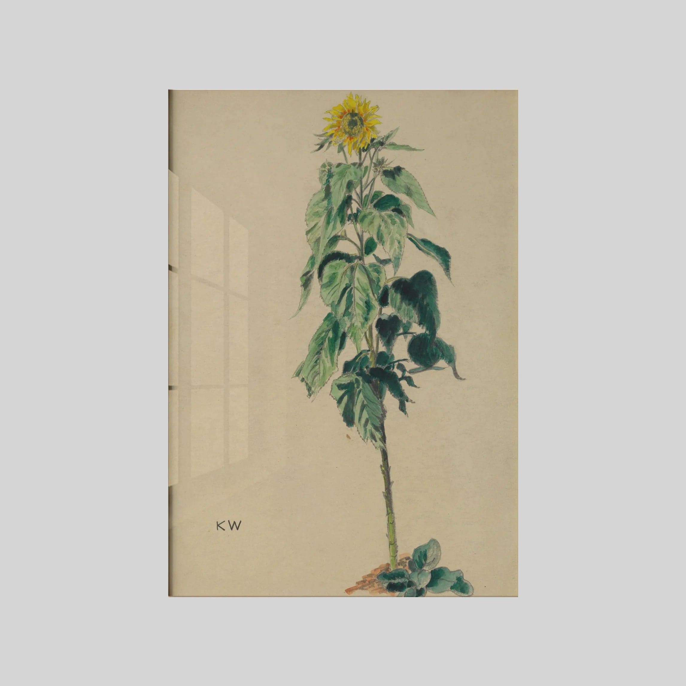Sonnenblume (around 1924)