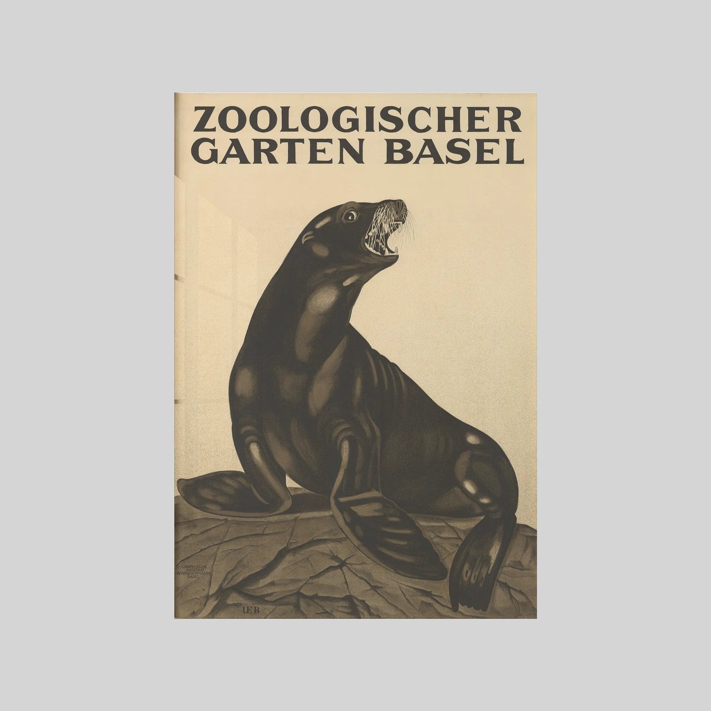 Basel Zoological Garden Switzerland 1923