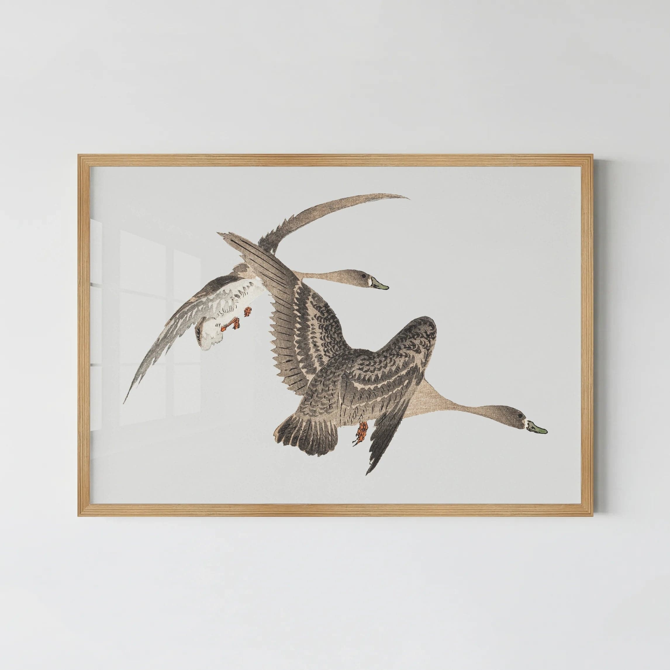 Blink Animals Posters 78