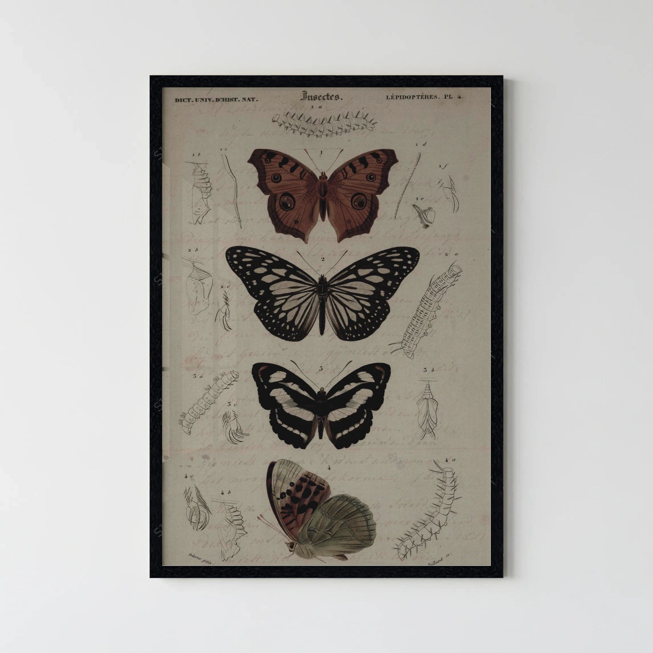 Blink Dark Collection 92